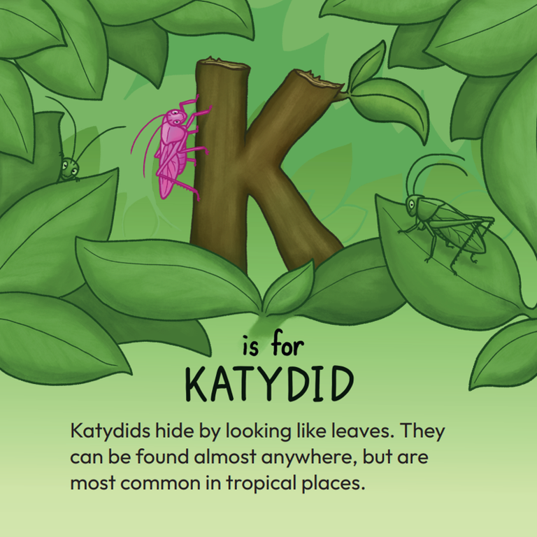 Insects A to Z preview - K is for Katydid