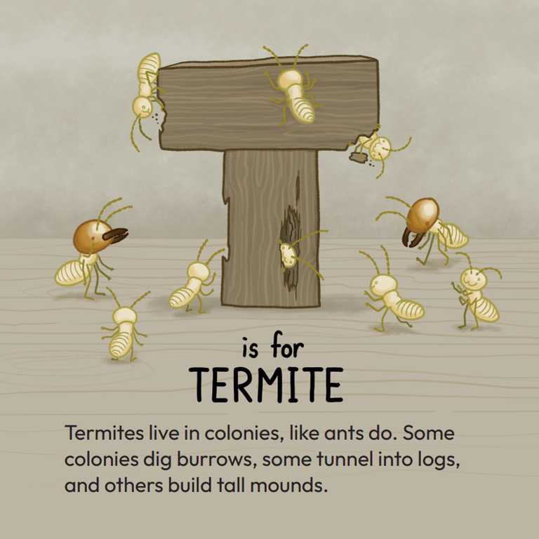 Insects A to Z preview - T is for Termite