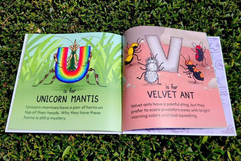 Interior of the book showing letters U and V