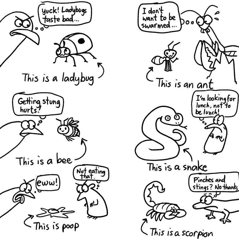 Concept sketches of animals